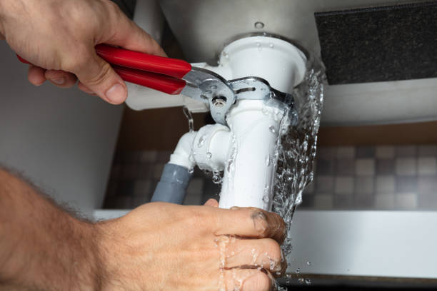 Best Water damage restoration insurance claims  in Avilla, AR