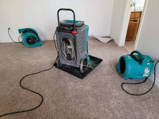 Best Mold removal after water damage  in Avilla, AR