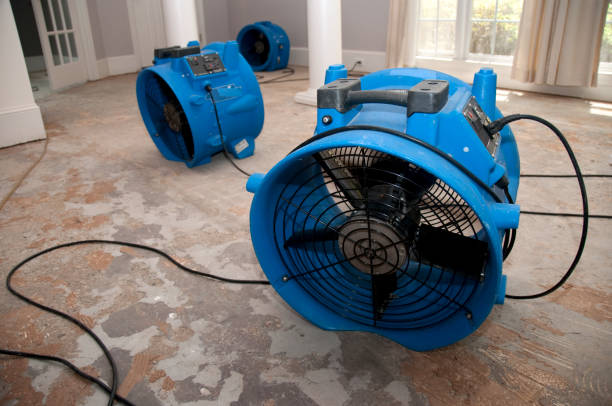 Best Flood restoration services  in Avilla, AR