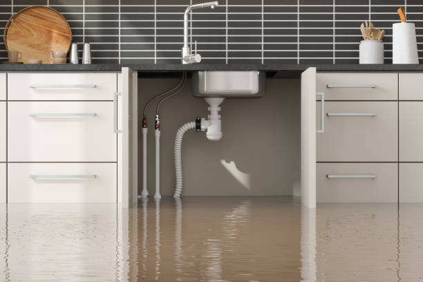 Best Local water damage restoration  in Avilla, AR