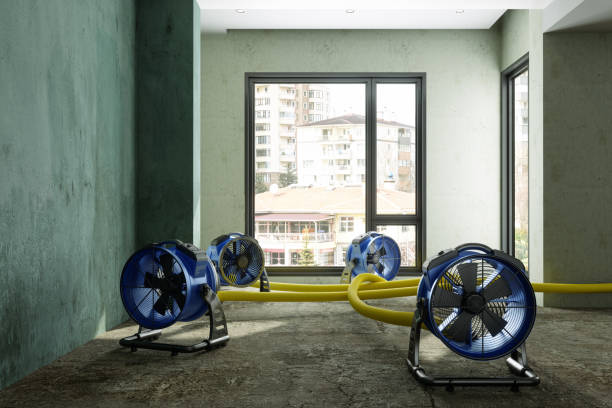 Best Carpet water damage restoration  in Avilla, AR